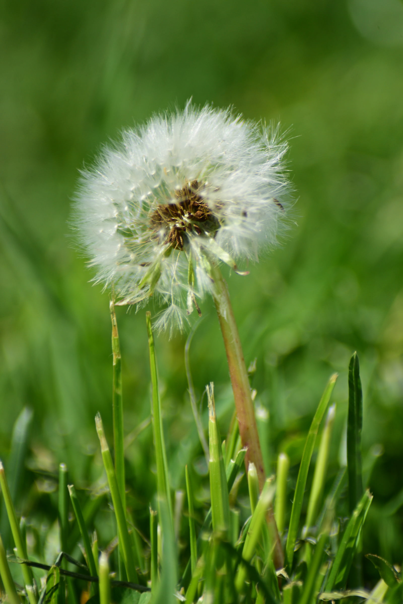One of my first macro tests