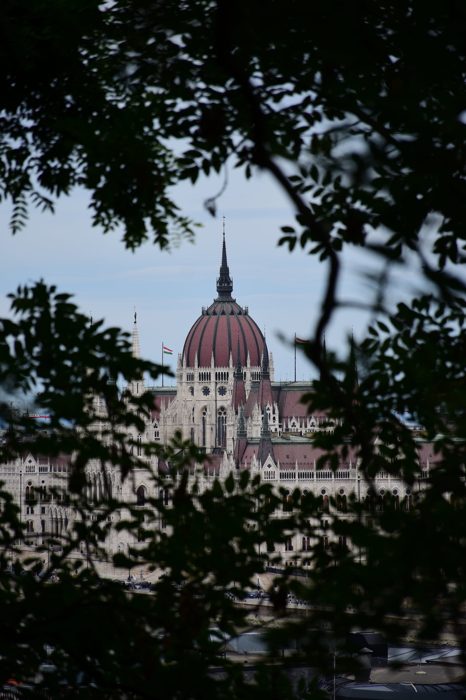 The Hungarian Parliament Building